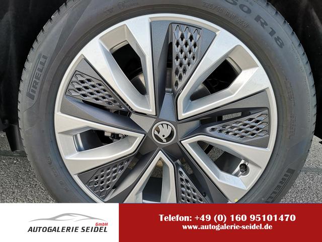 Skoda Karoq - Selection 2.0 TDI DSG 4x4 GV5 AHK 18 Ladeb