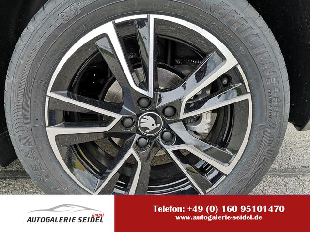 Skoda Fabia - Monte Carlo 1.5TSI DSG ABT ACC GV5 Kam