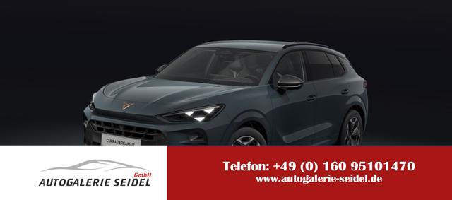 Cupra Terramar - VZ 2.0 TSI