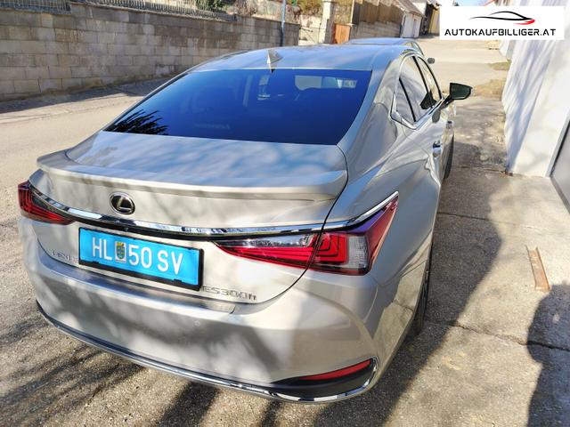 Lexus ES 300h Business Line 2.5 Hybrid 2WD *Sofort verf&uuml;gbar**WINTERSALE* 