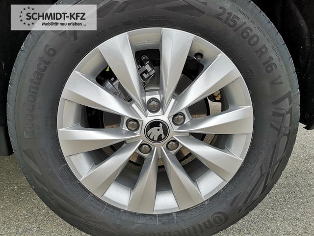 Skoda Karoq Selection 2.0 TDI DSG 4x4 GV5 AHK Navi ACC 