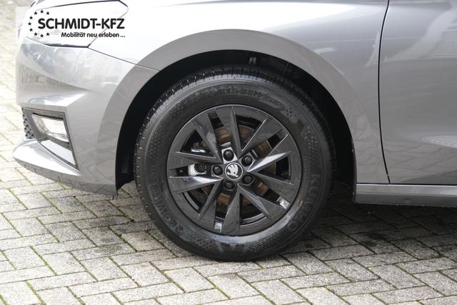 Skoda Fabia Top Selection Grau 