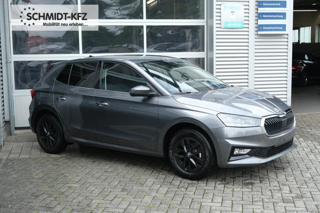 Skoda Fabia Top Selection Grau 