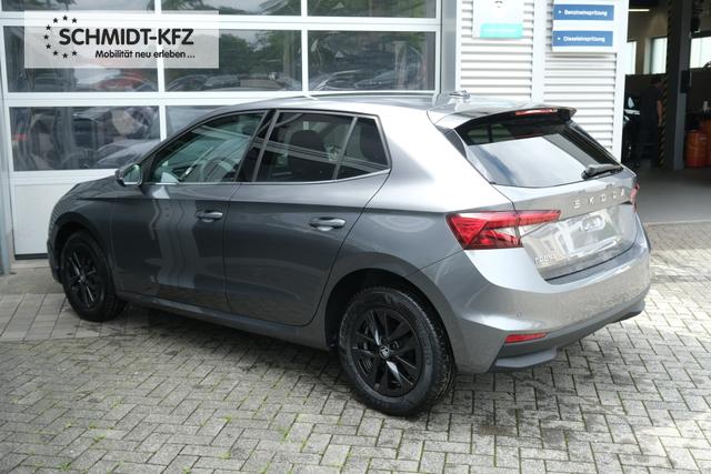 Skoda Fabia Top Selection Grau 