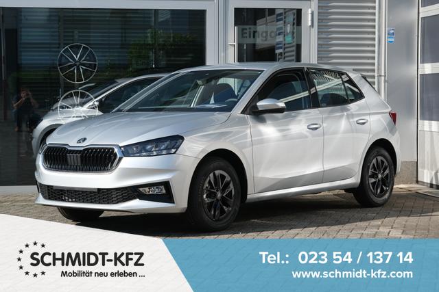 Skoda Fabia - 1.0 TSI DSG Selection Kamera LED APP-Navi Climatronic