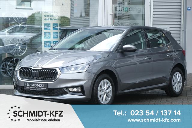 Skoda Fabia - 1.0 TSI DSG Top Selection Kamera LED App-Navi Climatronic PDC v&h
