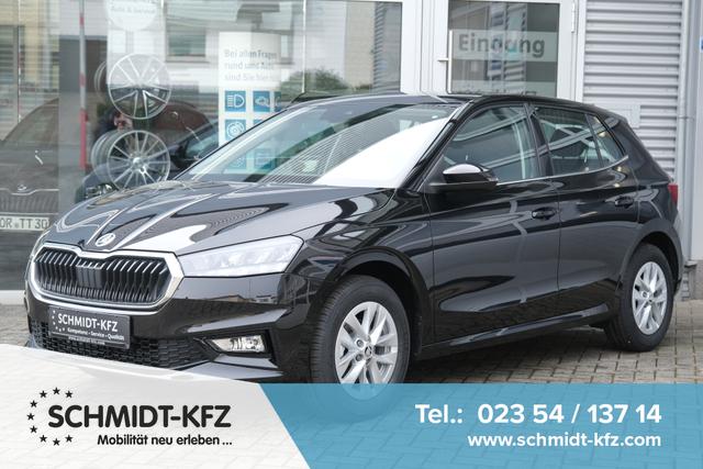 Skoda Fabia - Selection 1.0 TSI DSG LED Kamera App-Navi PDC Winterpaket