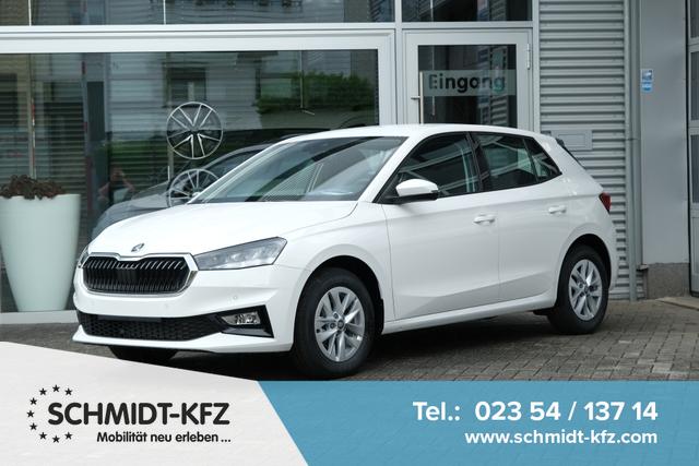 Skoda Fabia - Selection 1.0 TSI LED Kamera App-Navi PDC v+h Winterpaket