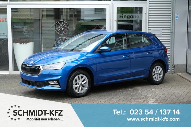 Skoda Fabia - Selection 1.0 TSI LED Kamera App-Navi PDC v+h Winterpaket