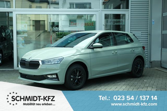 Skoda Fabia - Selection 1.0 TSI DSG LED Kamera App-Navi PDC Winterpaket