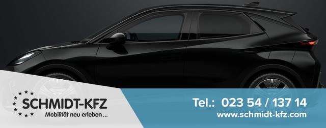 Cupra Raval - Endurance *VORLAUF* 185,-&euro; monatlich* 36 Monate* Ohne Kilometerbegrenzung*