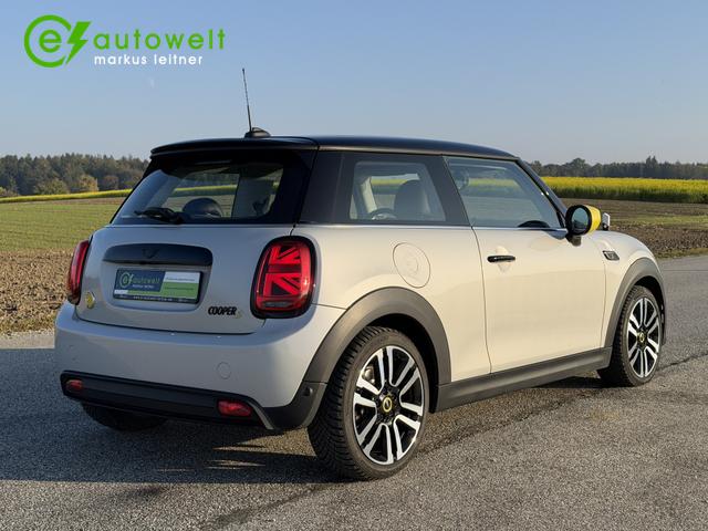 MINI Cooper SE Classic Trim 32,6kWh Komfortp. Plus Pano h/k 