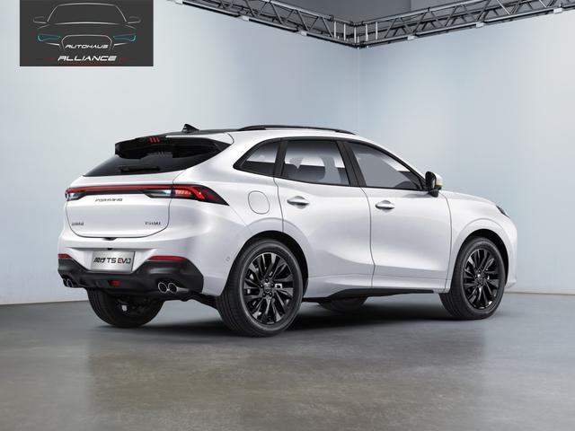 Forthing T5 Evo Basis | F&ouml;rderf&auml;hig! 
