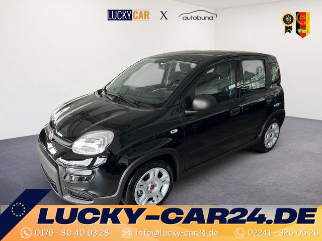 Gebrauchtfahrzeug Fiat Panda - 1.0 GSE /RADIO/KLIMA/PDC H/DAB
