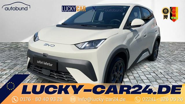 Lagerfahrzeug BYD Dolphin Surf - BOOST Alarm Alu DAB Keyless Klima Nav Kamera