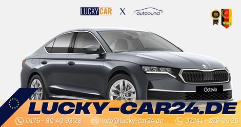 Bestellfahrzeug, konfigurierbar Skoda Octavia - Selection 1,5 TSI 85kW/116PS 6-Gang, 5-Jahre Skoda-Garantie, el. Heckklappe, Sunset, LED, beh. Sitze v., Climatronic, PDC v h, Kamera, Smart Link, VIRTUAL COCKPIT, Kessy