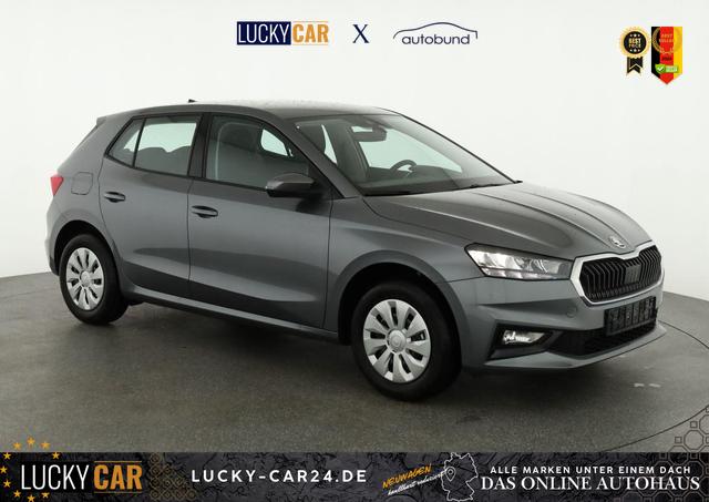 Lagerfahrzeug Skoda Fabia - Selection 1.0 TSI Selection, Park, Winterpaket, SmartLink, 4-J Garantie