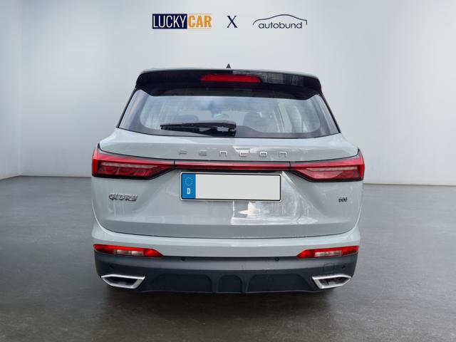 DFSK / Fengon 600 / Grau / / / 