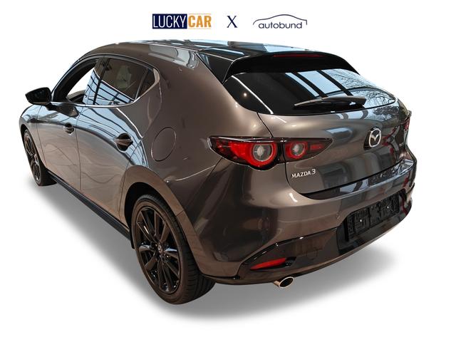 Beispielbilder, ggf. teilweise mit Sonderausstattung