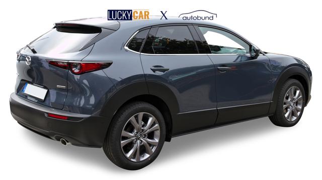 Beispielbilder, ggf. teilweise mit Sonderausstattung