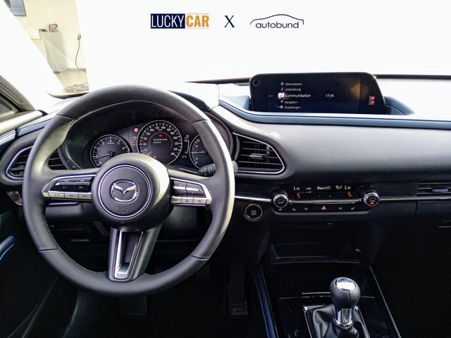 Beispielbilder, ggf. teilweise mit Sonderausstattung