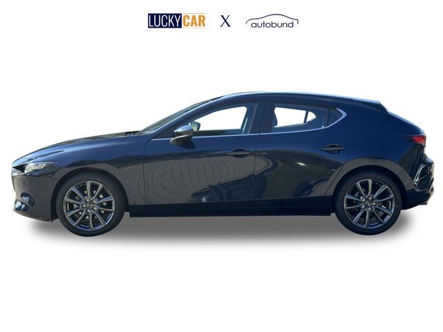 Beispielbilder, ggf. teilweise mit Sonderausstattung