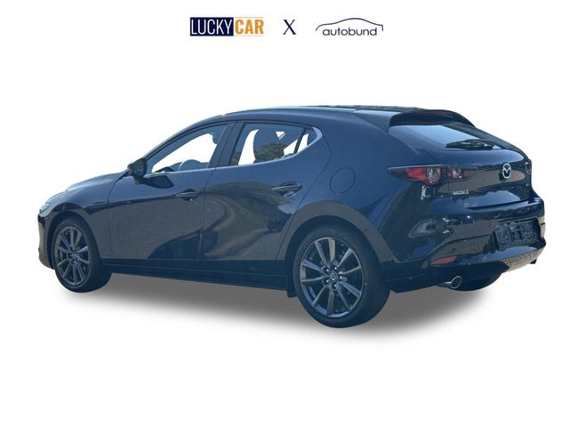 Beispielbilder, ggf. teilweise mit Sonderausstattung