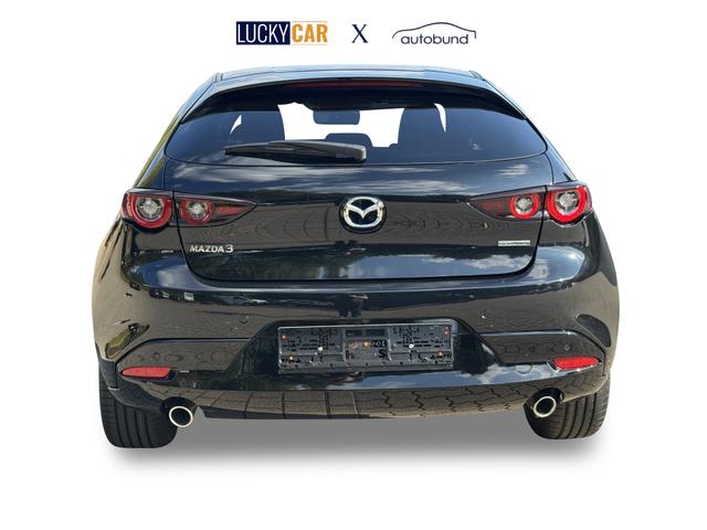 Beispielbilder, ggf. teilweise mit Sonderausstattung