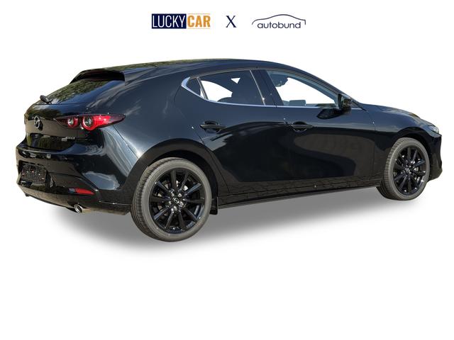 Beispielbilder, ggf. teilweise mit Sonderausstattung