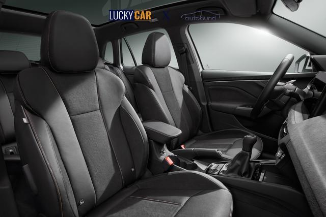 Skoda Kamiq Selection 1,0 TSI Klimaa ShAs ViCo PDC SHZ LED SmLi 5JG 