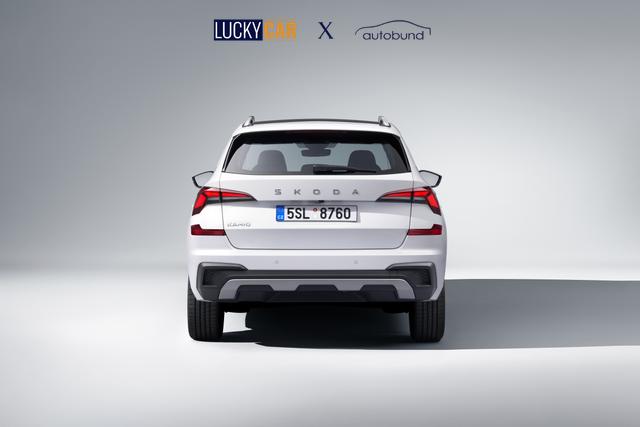 Skoda Kamiq Selection 1,0 TSI Klimaa ShAs ViCo PDC SHZ LED SmLi 5JG 