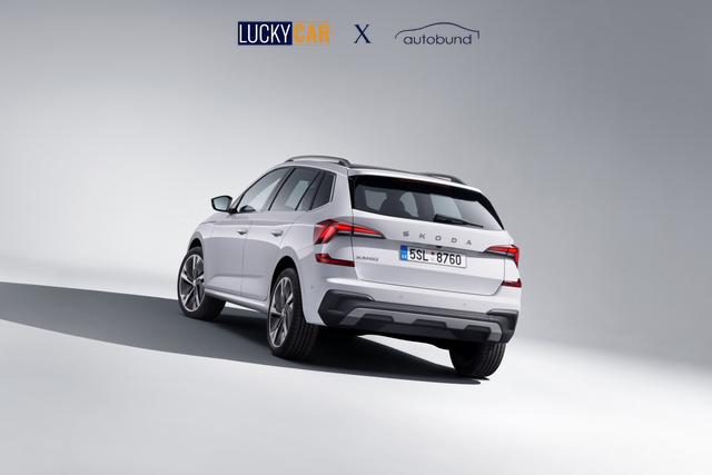 Skoda Kamiq Selection 1,0 TSI Klimaa ShAs ViCo PDC SHZ LED SmLi 5JG 