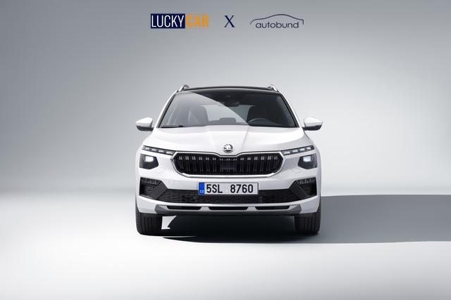 Skoda Kamiq Selection 1,0 TSI Klimaa ShAs ViCo PDC SHZ LED SmLi 5JG 