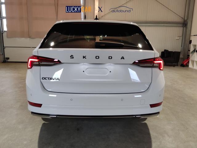 Skoda / Octavia Combi / Weiß / / / 