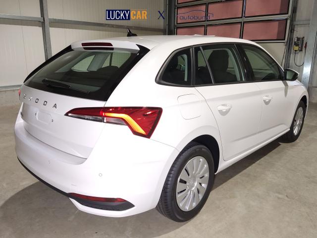 Skoda / Scala / / / / , Beispielbilder, ggf. teilweise mit Sonderausstattung