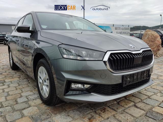 Skoda / Fabia / Grau / / / , Beispielbilder, ggf. teilweise mit Sonderausstattung