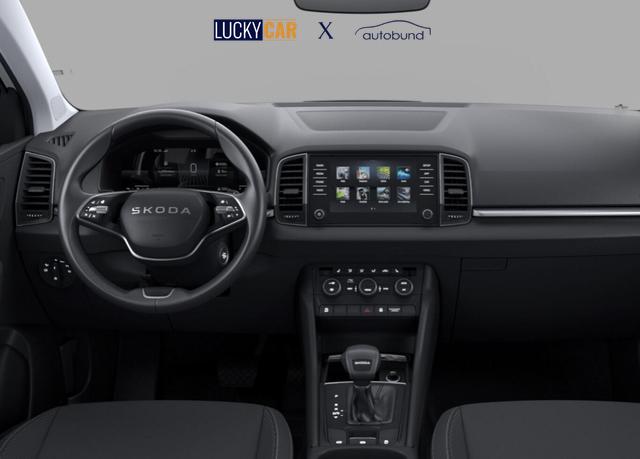 Skoda Karoq Selection DSG Selec LED SHZ SunS 5J/100k Temp VirtC 