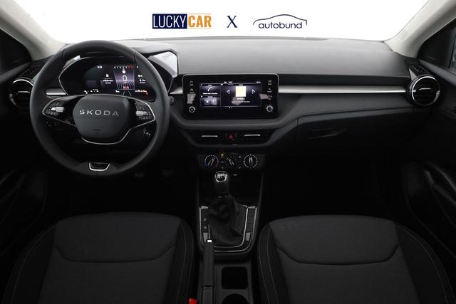 Skoda Fabia Selection 1.0 TSI Selection, Tempomat, Park, Winterpaket, SmartLink, 4-J Garantie 