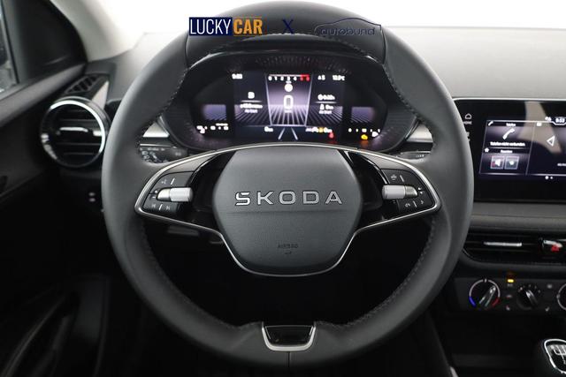 Skoda Fabia Selection 1.0 TSI Selection, Tempomat, Park, Winterpaket, SmartLink, 4-J Garantie 