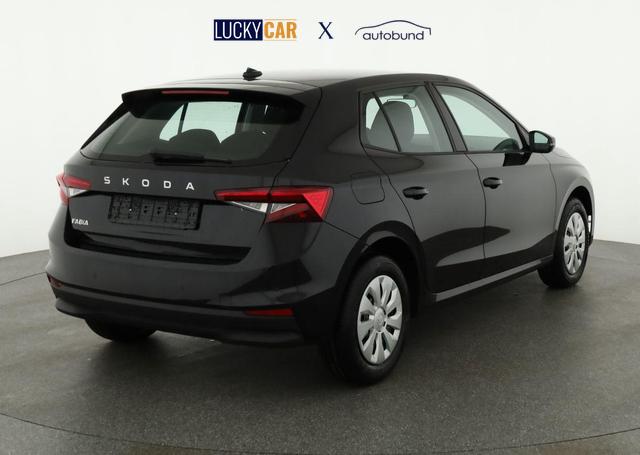 Skoda Fabia Selection 1.0 TSI Selection, Park, Winterpaket, SmartLink, 4-J Garantie 