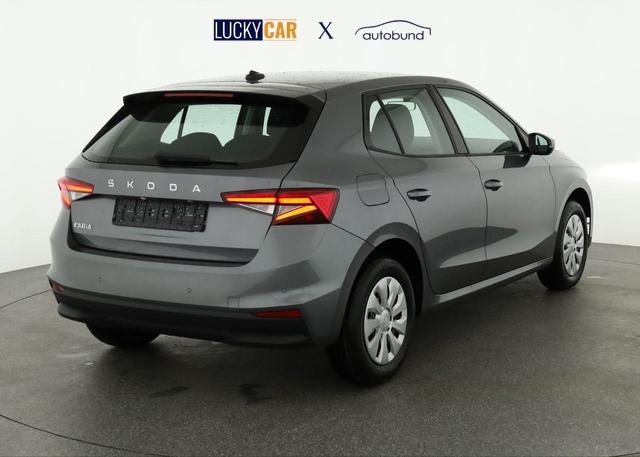 Skoda Fabia Selection 1.0 TSI Selection, Park, Winterpaket, SmartLink, 4-J Garantie 