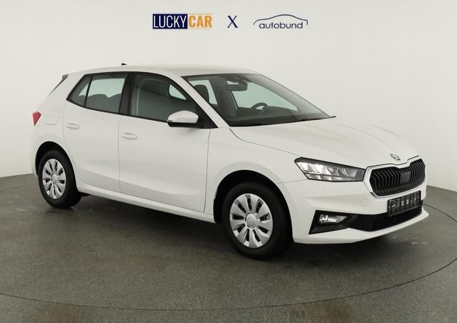 Skoda Fabia Selection 1.0 TSI Selection, Ladeboden, Park, Winterpaket, SmartLink, 4-J Garantie 