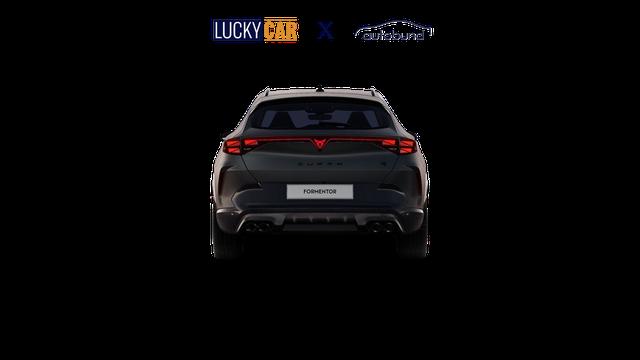 Cupra Formentor VZ 2.0 TSI 7-Gang-DSG 4Drive 