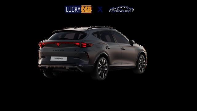 Cupra Formentor VZ 2.0 TSI 7-Gang-DSG 4Drive 