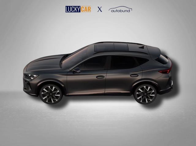 Cupra Formentor VZ 2.0 TSI 7-Gang-DSG 4Drive 