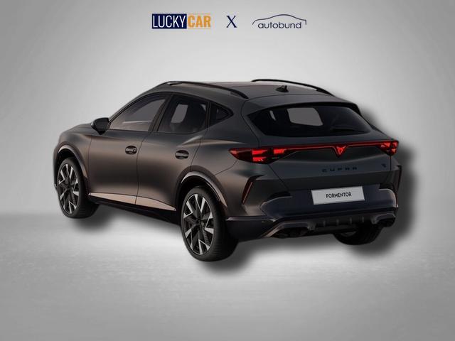 Cupra Formentor VZ 2.0 TSI 7-Gang-DSG 4Drive 