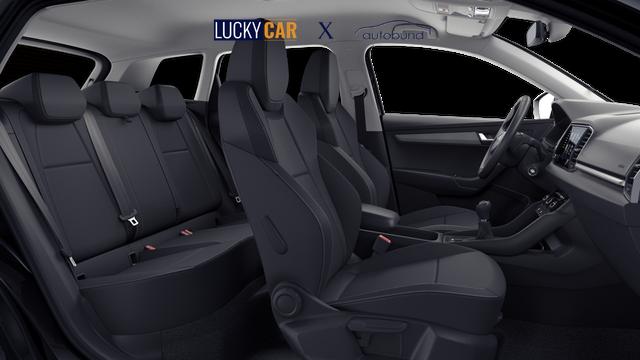 Skoda Karoq Selection 1.0 TSI 6-Gang 