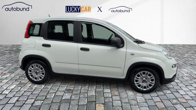 Fiat Panda Base 1,0 Hybrid (MHEV) DAB PDC 