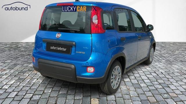 Fiat Panda Base 1,0 Hybrid (MHEV) DAB MFL PDC Radio 