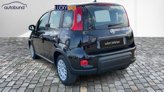 Fiat Panda Pandina Base 1,0 Hybrid (MHEV) NBA PDC SHA 